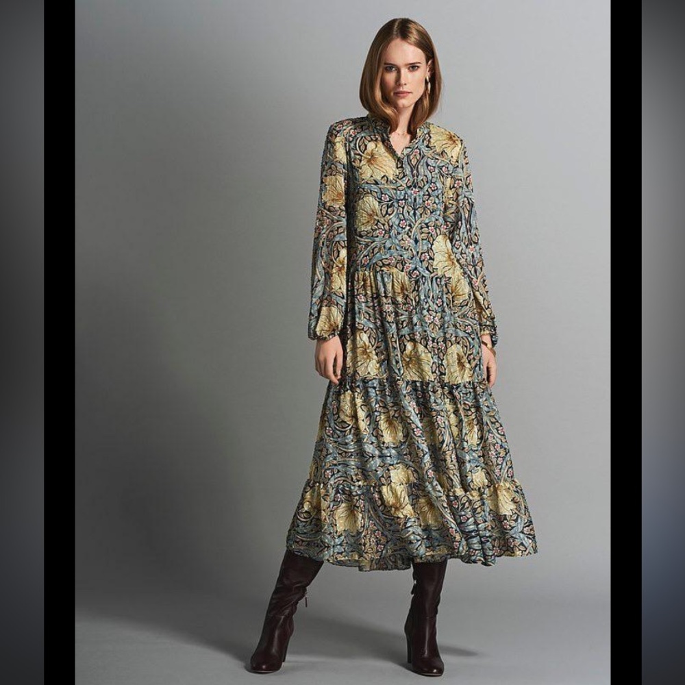 WILLIAM MORRIS & CO. X H&M
Long Sleeve Chiffon Patterned Floral Maxi Sundress